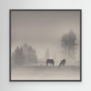 timeless moments by Swapnil