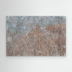 snowstorm by Swapnil