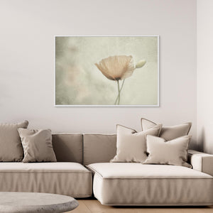 Jewel of nNature by Gilbert Claes