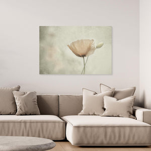 Jewel of nNature by Gilbert Claes