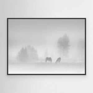 timeless by Swapnil