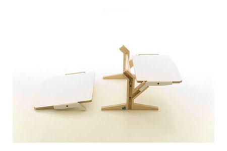 VEGETALE COFFEE TABLE - DOUBLE HORIZONTAL TABLET, rform- D40Studio