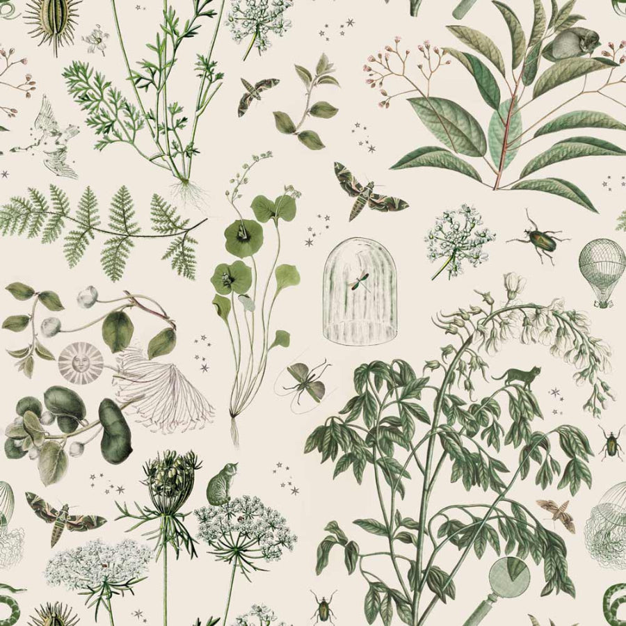 GRÜN Botanische Geschichten Tapete 100x280CM 