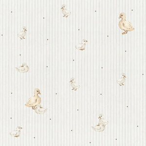 Ducklings cute Wallpaper