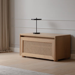 HIDEAWAY Storage Bench
