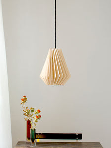 HEKTOR Pendant Light, IUMI- D40Studio