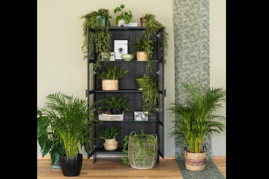 Rowico EVERETT HIGH Glass Cabinet