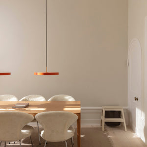 TIME FLIES Dining Chair