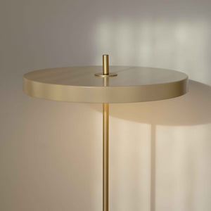 X SPECIAL MINDS Asteria Floor Lamp