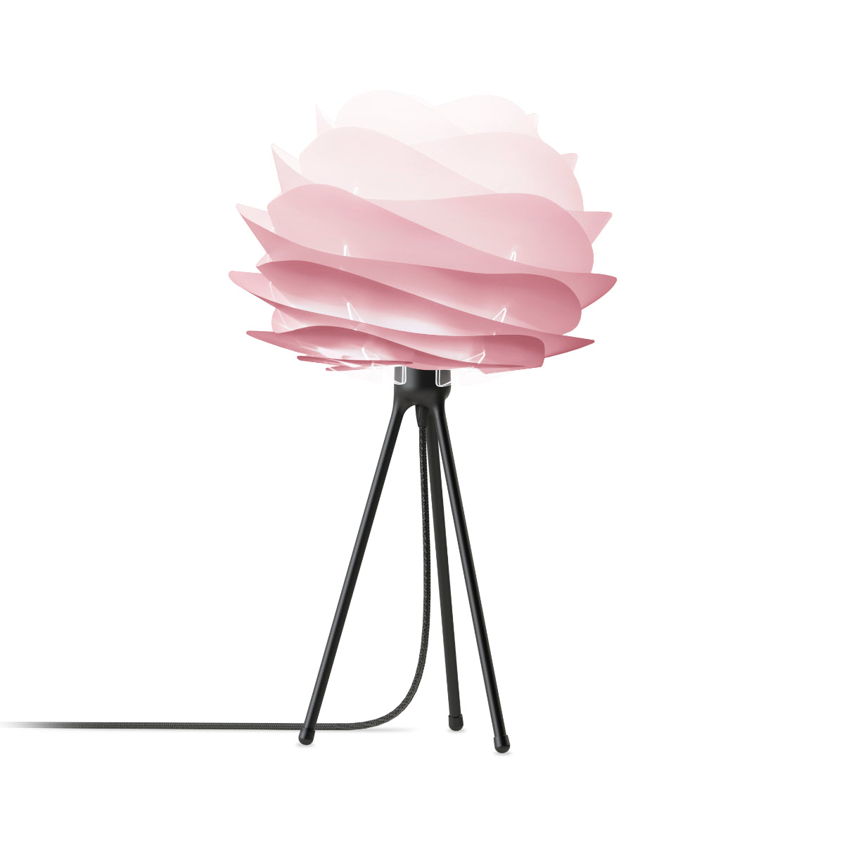 CARMINA Baby Rose Tischlampe