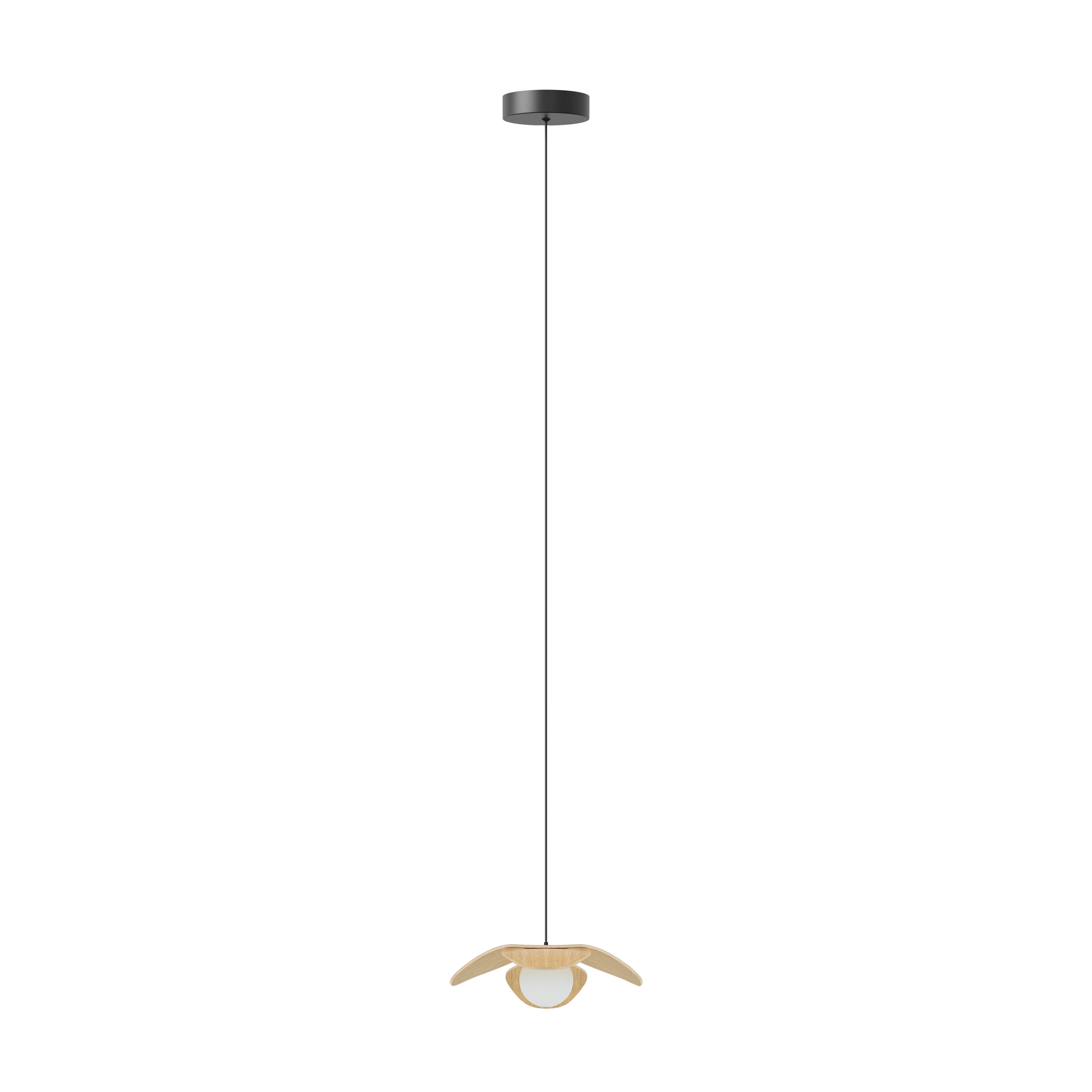 FORGET ME NOT SINGLE Lamp Set