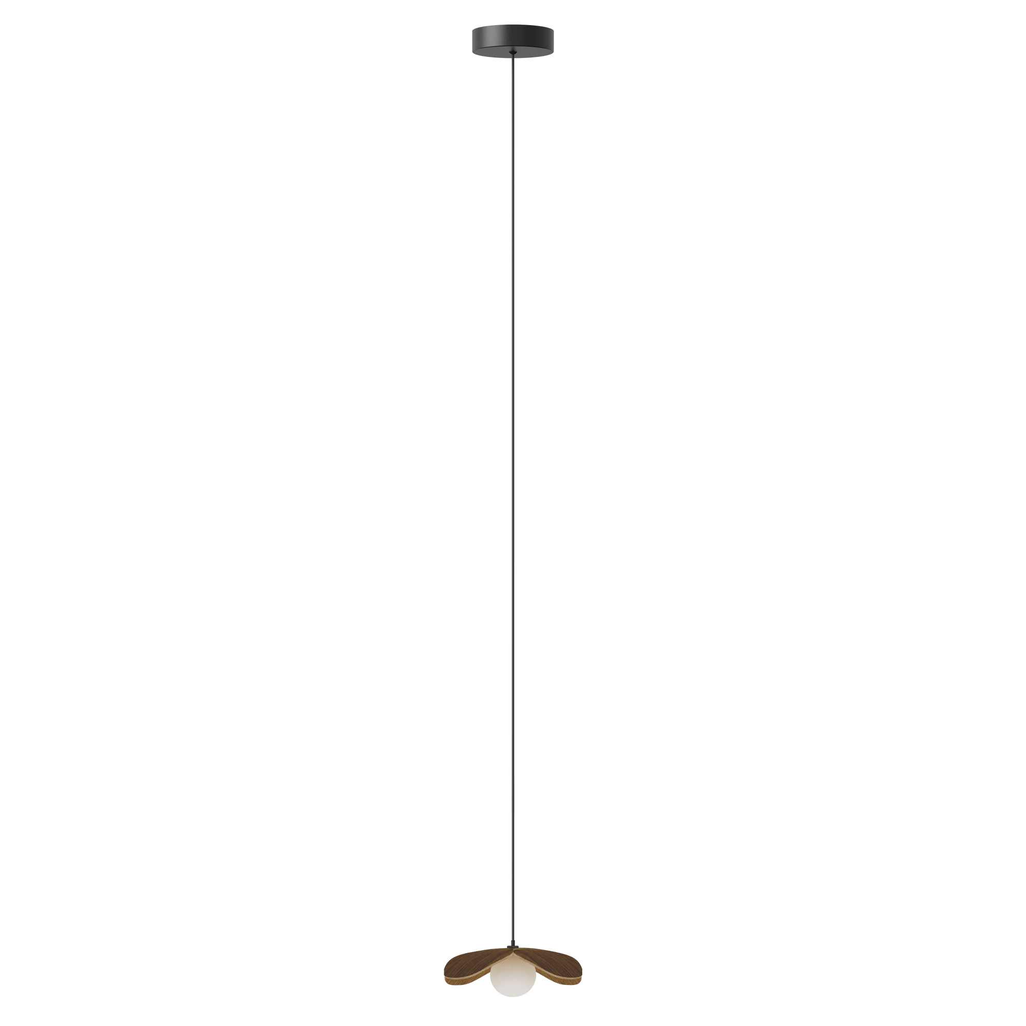 FORGET ME NOT SINGLE Lamp Set