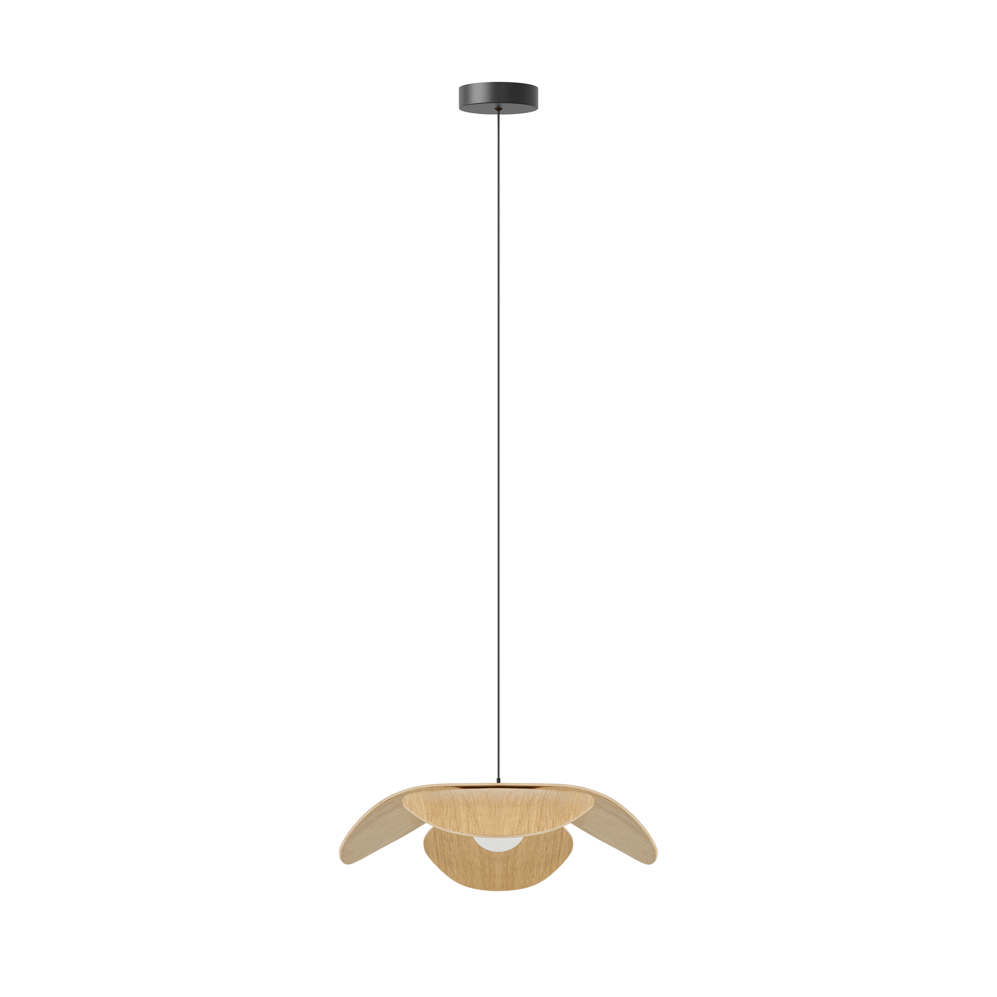 FORGET ME NOT SINGLE Lamp Set