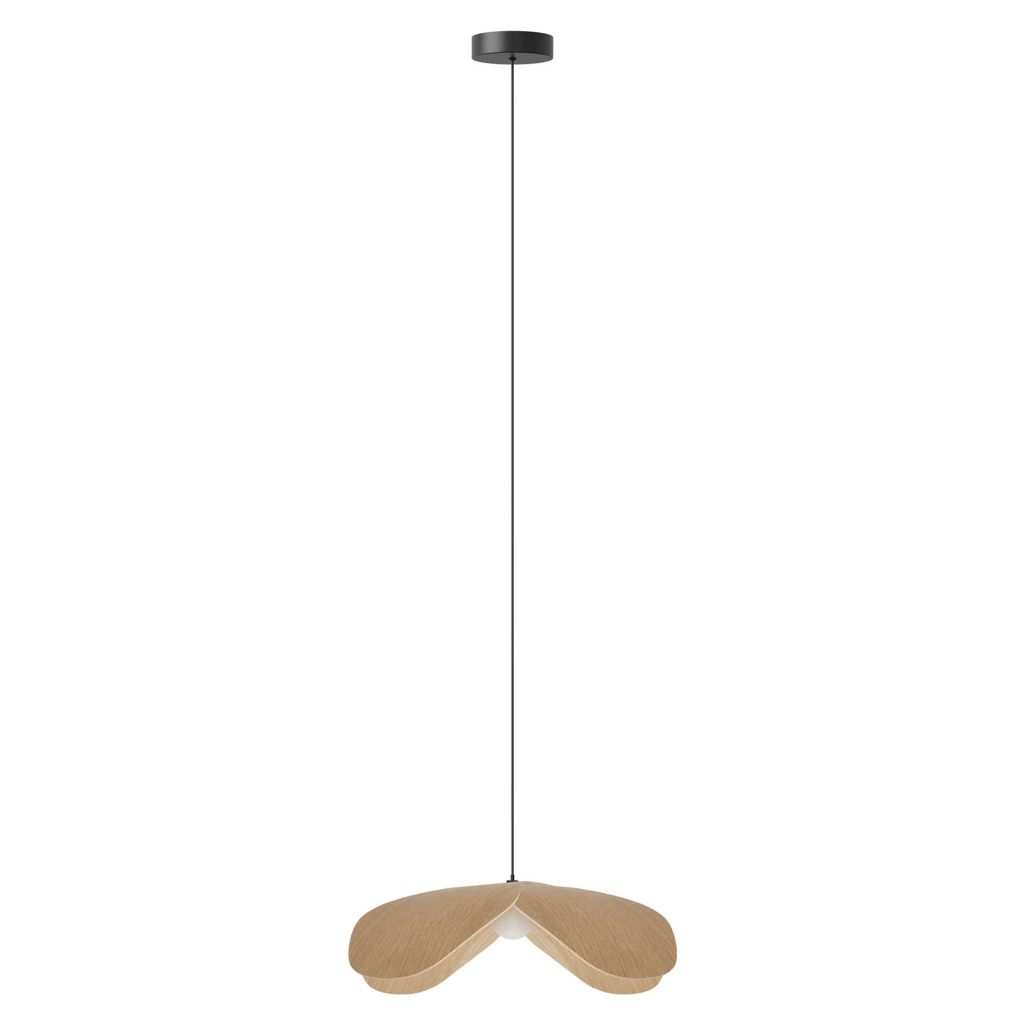 FORGET ME NOT SINGLE Lamp Set