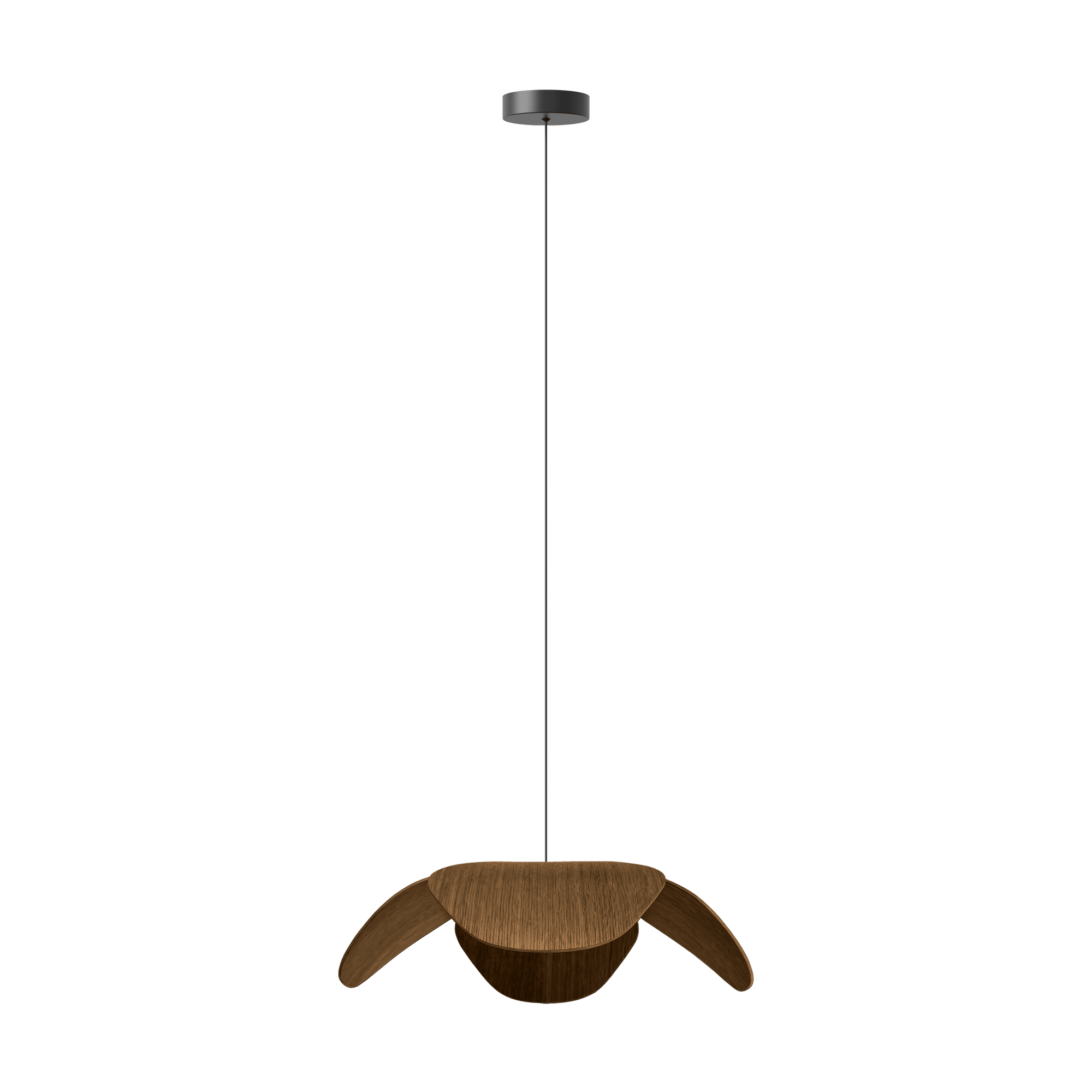 FORGET ME NOT SINGLE Lamp Set