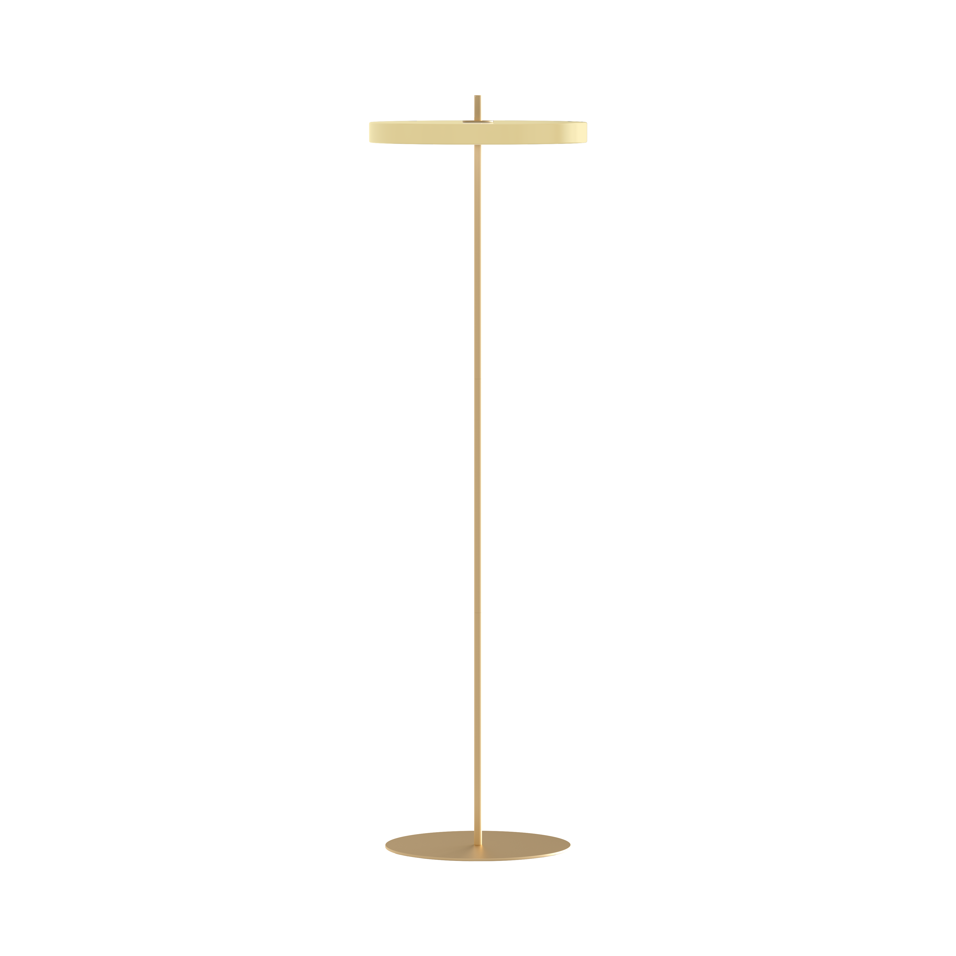 X SPECIAL MINDS Asteria Floor Lamp