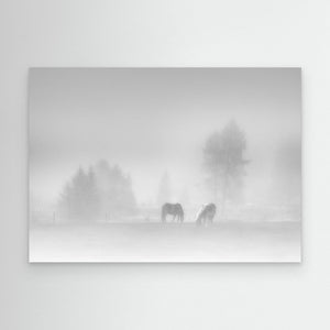 timeless by Swapnil