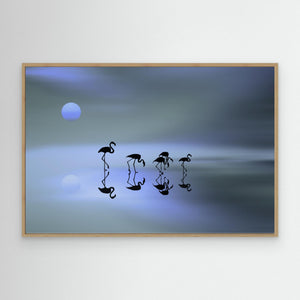 Group of Flamingos by Natalia