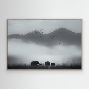 misty moments by Swapnil