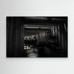 walking through the 1000 tori gates by Swapnil