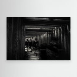 walking through the 1000 tori gates by Swapnil