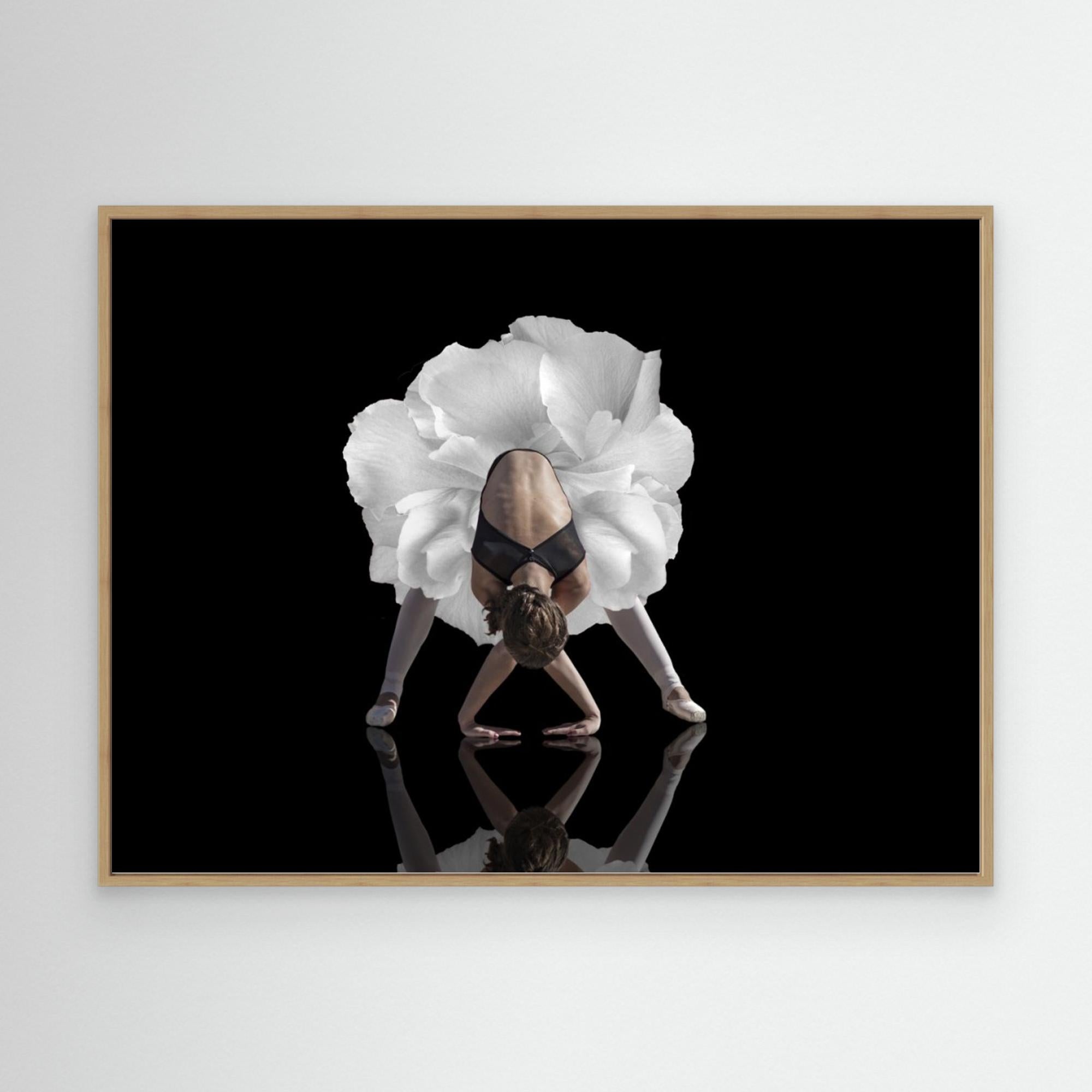 Dance by Natalia