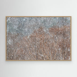 snowstorm by Swapnil
