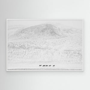 Winters… by Swapnil
