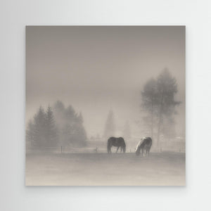 timeless moments by Swapnil