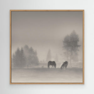 timeless moments by Swapnil