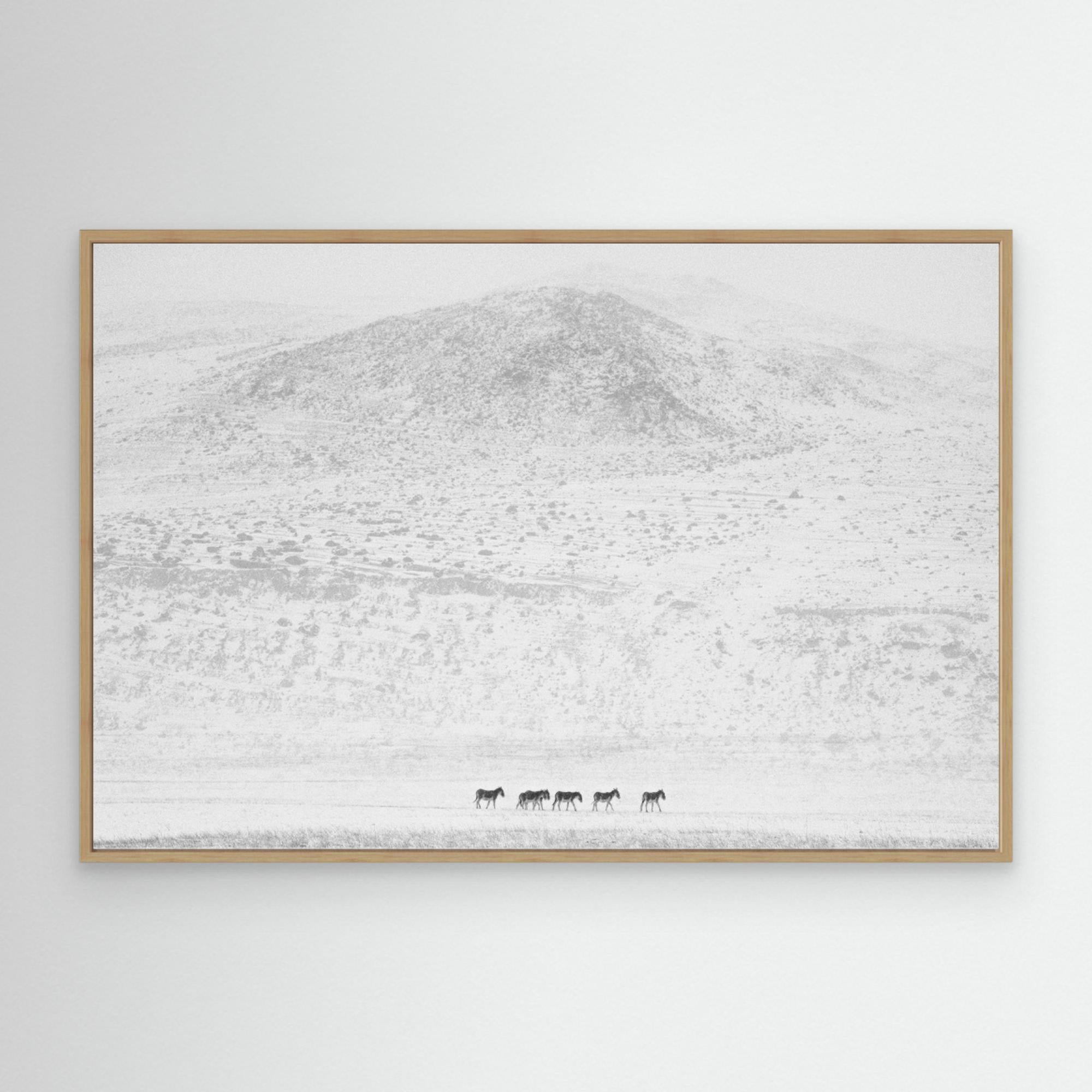 Winters… by Swapnil