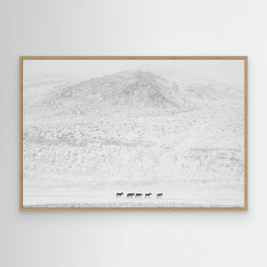 Winters… by Swapnil