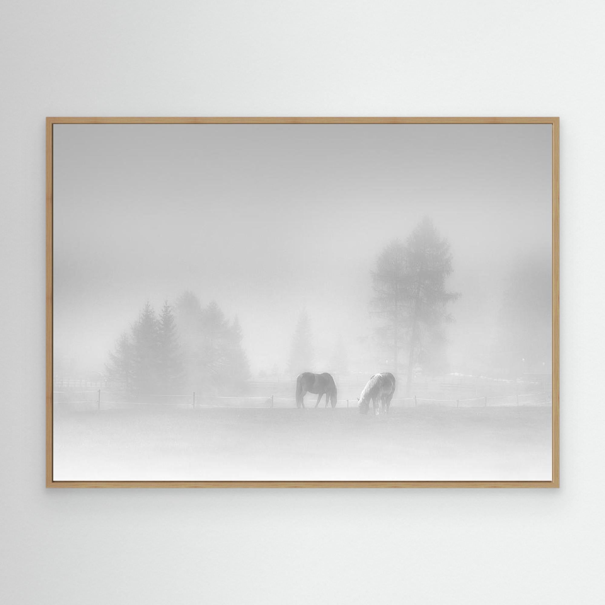 timeless by Swapnil