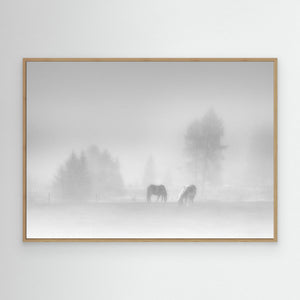 timeless by Swapnil
