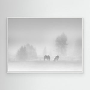 timeless by Swapnil