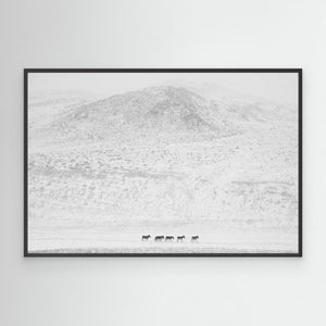 Winters… by Swapnil