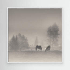 timeless moments by Swapnil