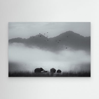 misty moments by Swapnil