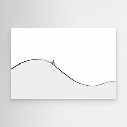 Curves by Natalia