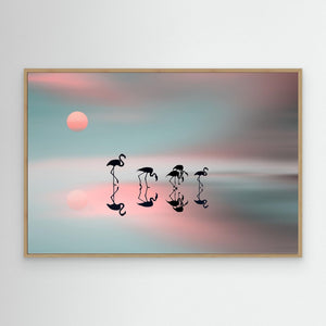 Family flamingos. by Natalia