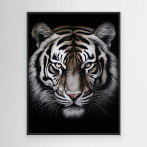 Wild 8 by Bilge Paksoylu
