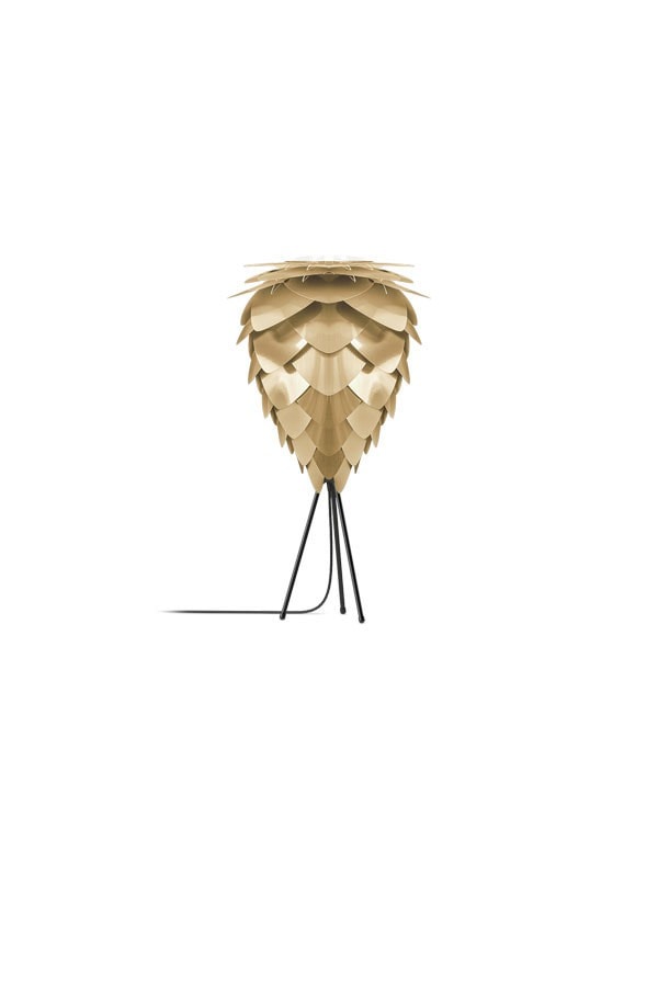 CONIA Brushed Brass Table Lamp
