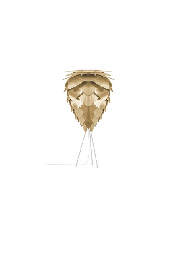 CONIA Brushed Brass Table Lamp