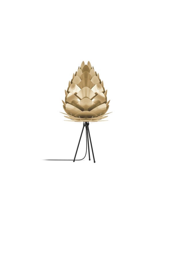 CONIA Brushed Brass Table Lamp