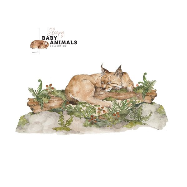 SLEEP MY Little Wild Cat Wall Sticker