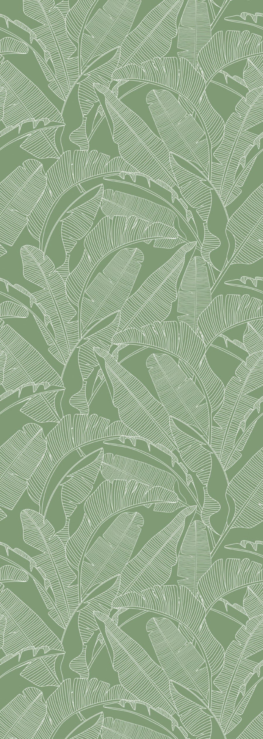 PALM LEAVES Green Wallpaper 100x280CM