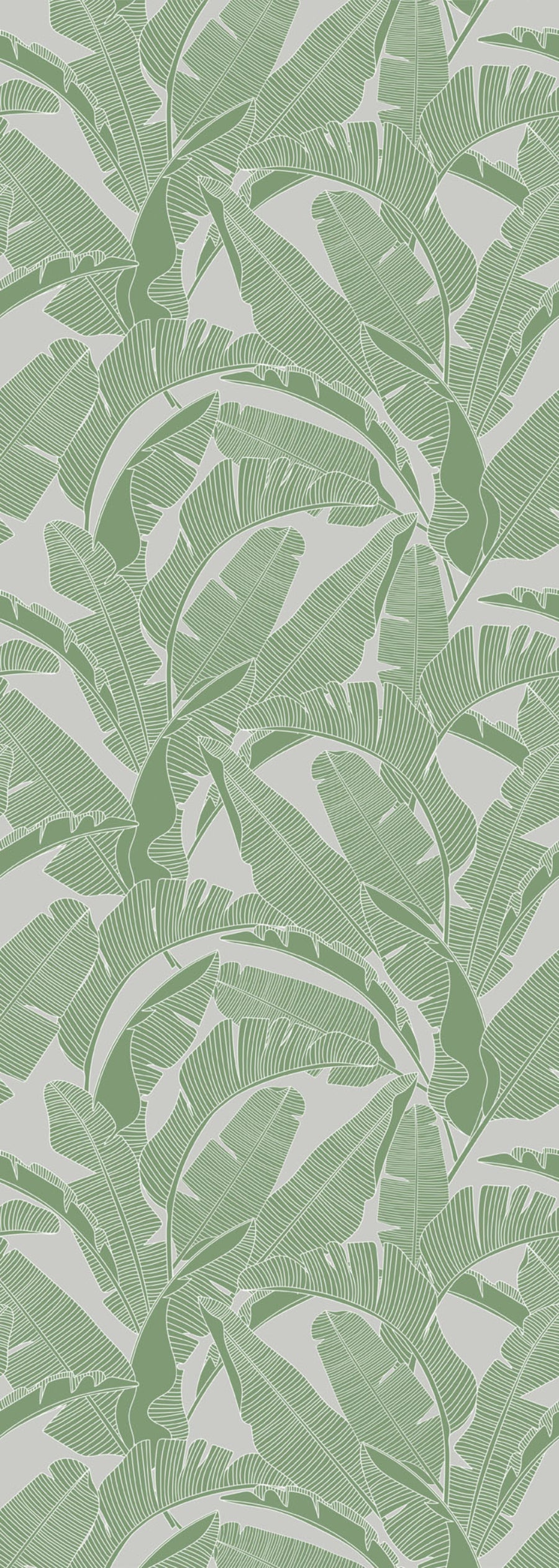 PALM LEAVES Green Wallpaper 100x280CM