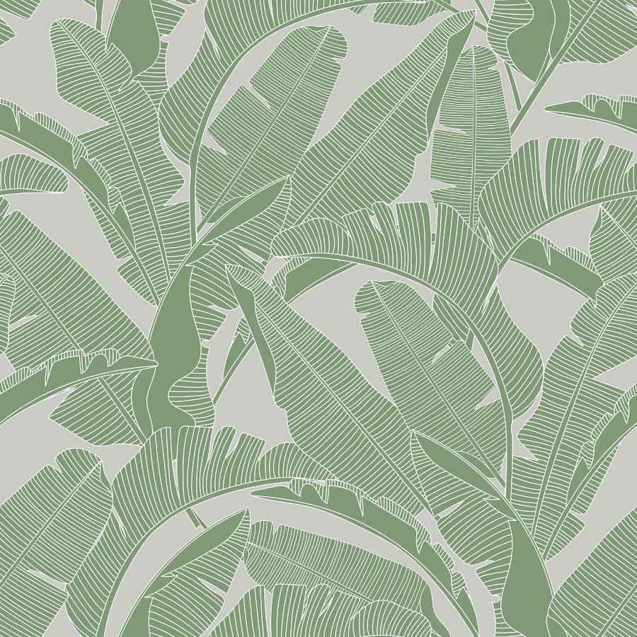 PALM LEAVES Green Wallpaper 100x280CM