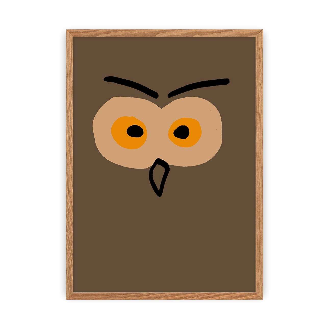 Picture of an Owl