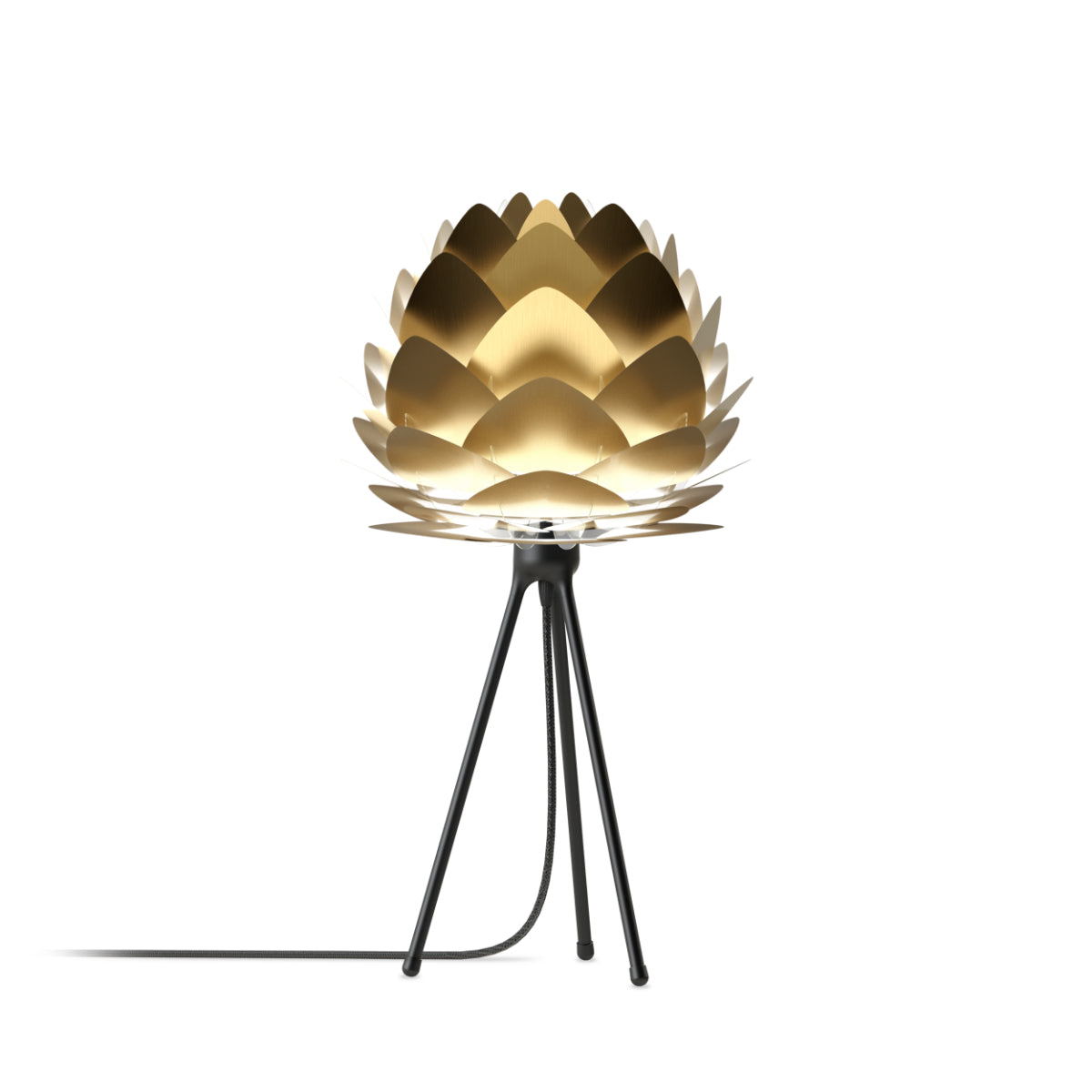ALUVIA Tischlampe aus gebürstetem Messing